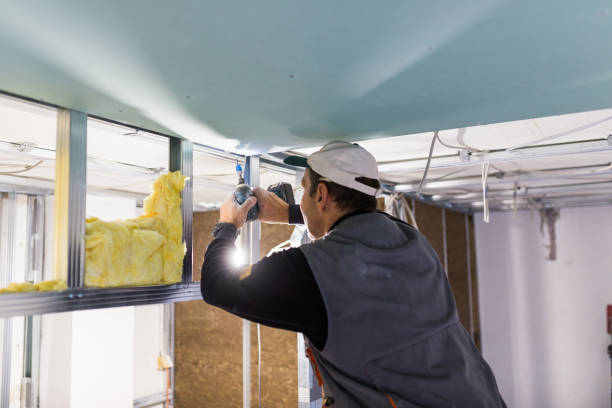 Types of Insulation We Offer in Oak Brook, IL